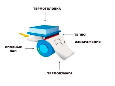 Схема работы печатающей головки термопринтера.
Источник фото: 1-sys.ru