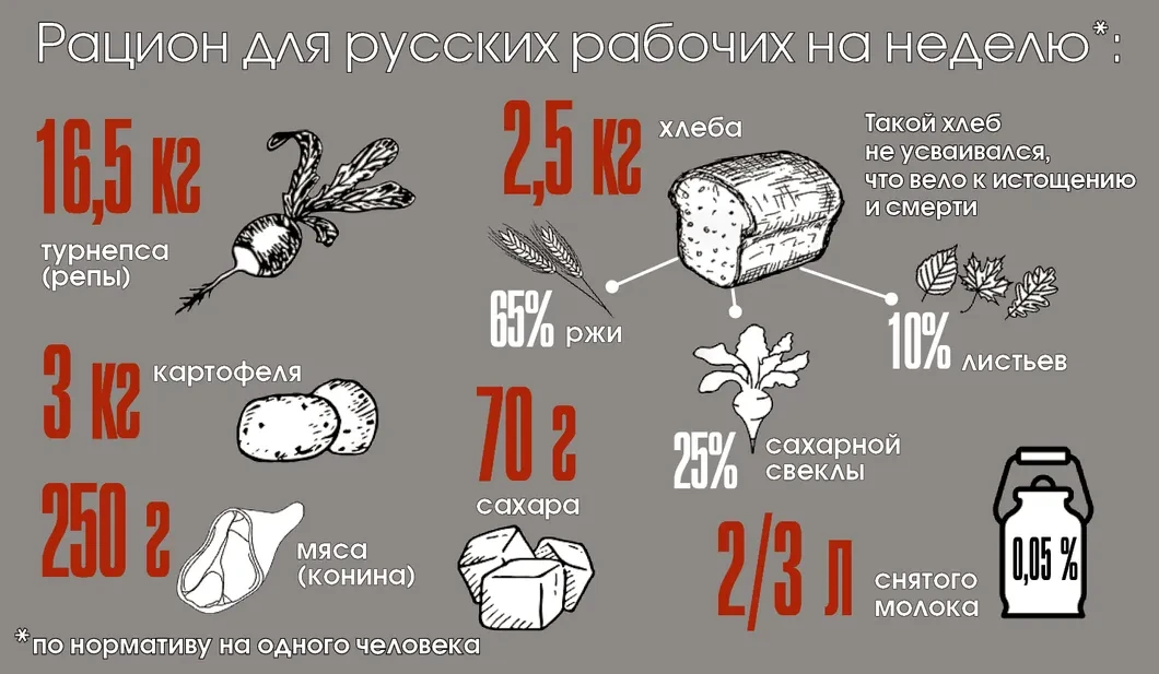 Источник: Алексей Комаров / «Новая»