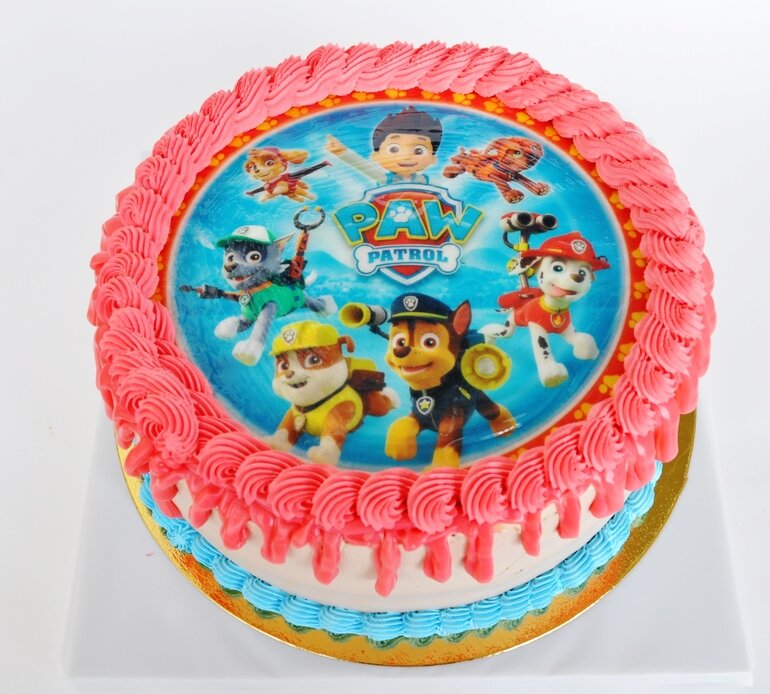 Обзор расходных материалов для пищевого принтера