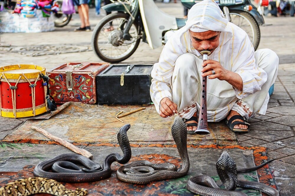 Фестиваль факиров. Индия. Изображение из сети Интернет