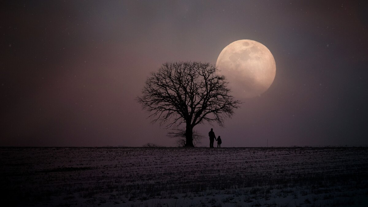 Источник: pixabay
