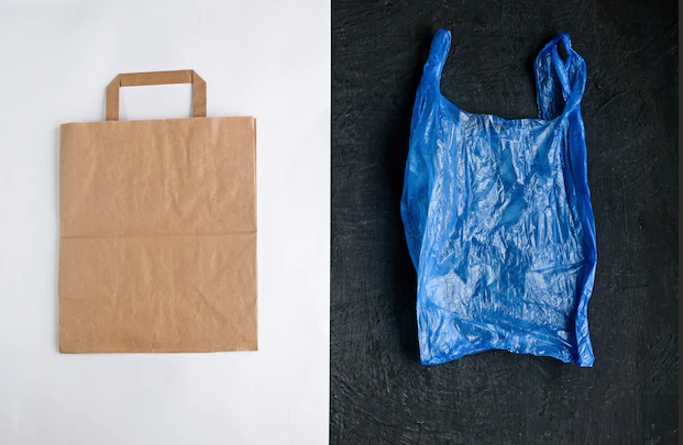 Paper bag vs plastic bag презентация