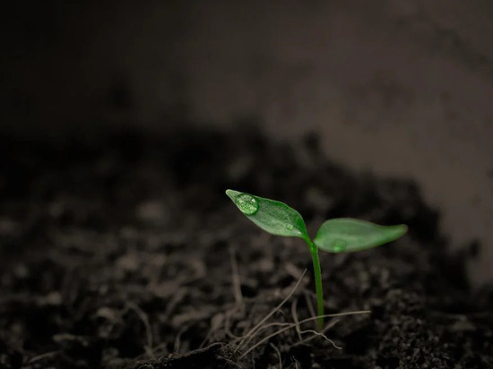 ФОТО: PIXABAY.COM