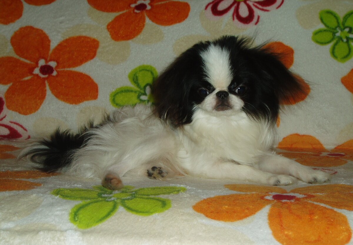 Гринёчек. 6 мес.