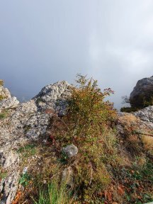 Горы.