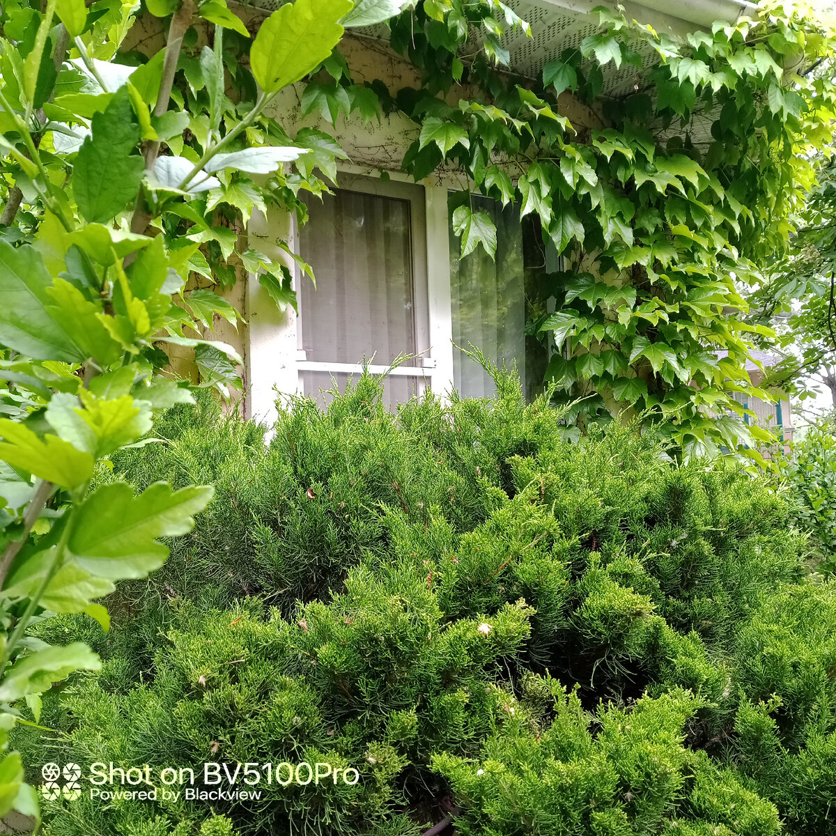 Вы ведь любите заглядывать в чужие окна? Иногда, просто так, ради томящего чувства тайны))). Фото автора