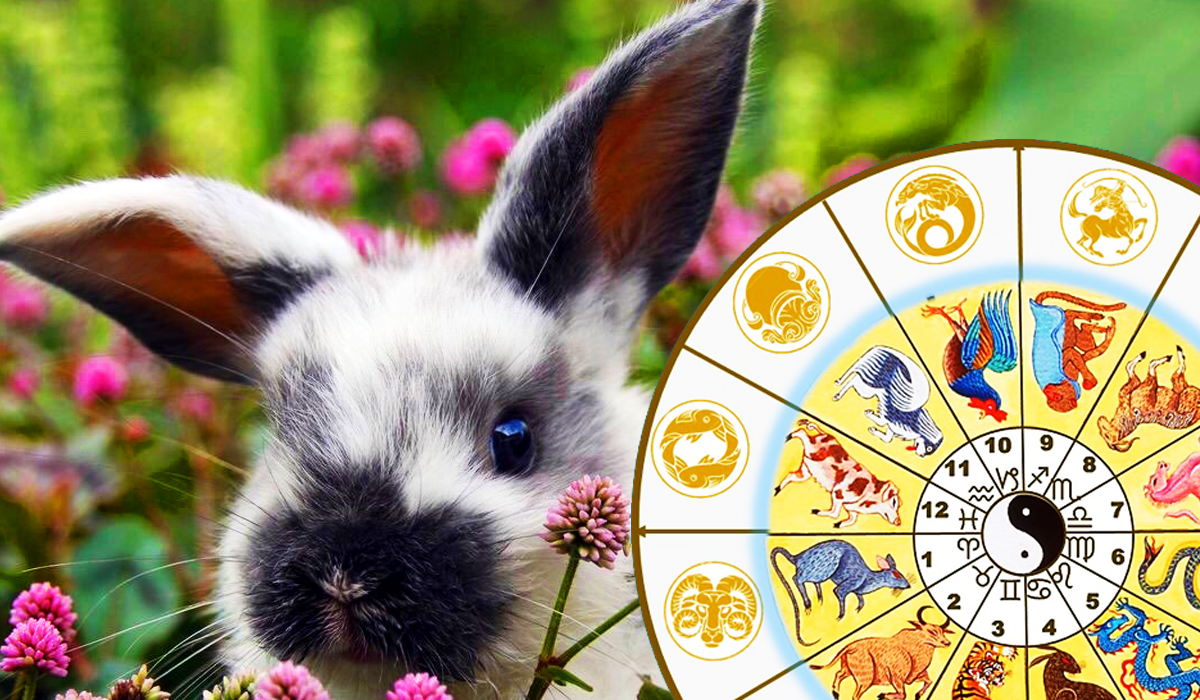 Знаки зодиака кролик года