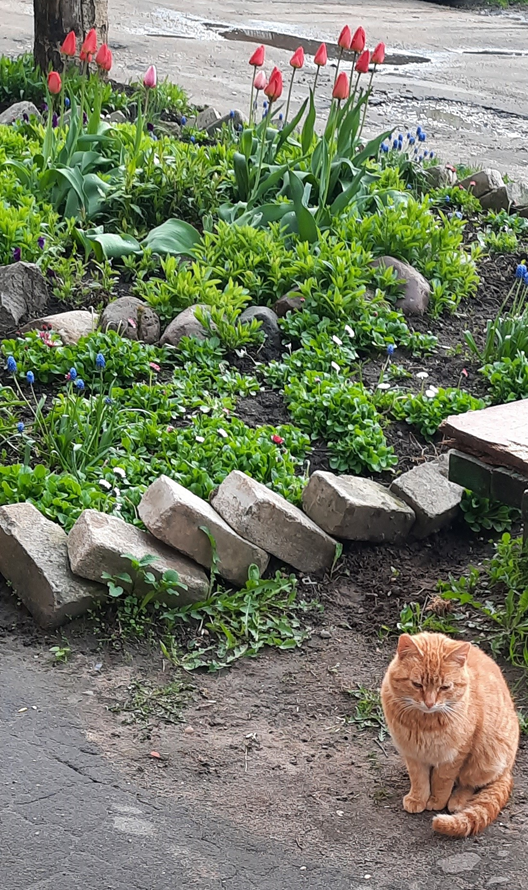 Весна во дворе нашего дома. Фото из личного архива.