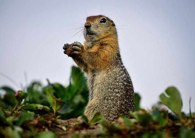 Фото: Юрий Смитюк / ТАСС 