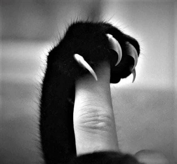 Фото из Pinterest