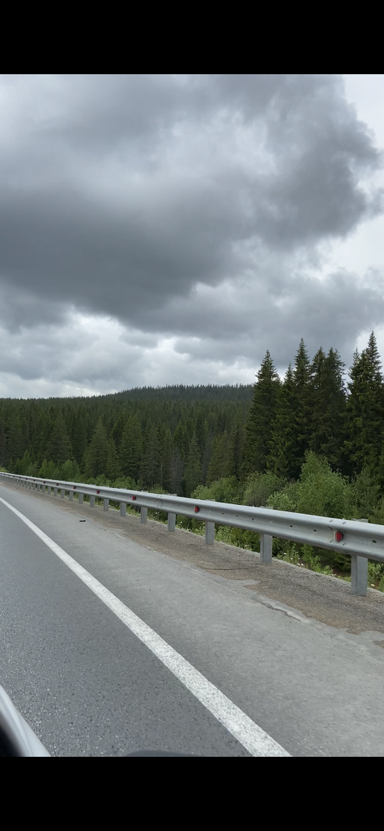 Михайловск