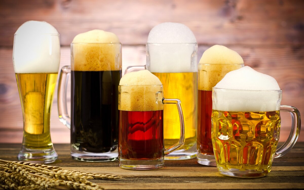 В мире насчитывается около 1000 сортов пива