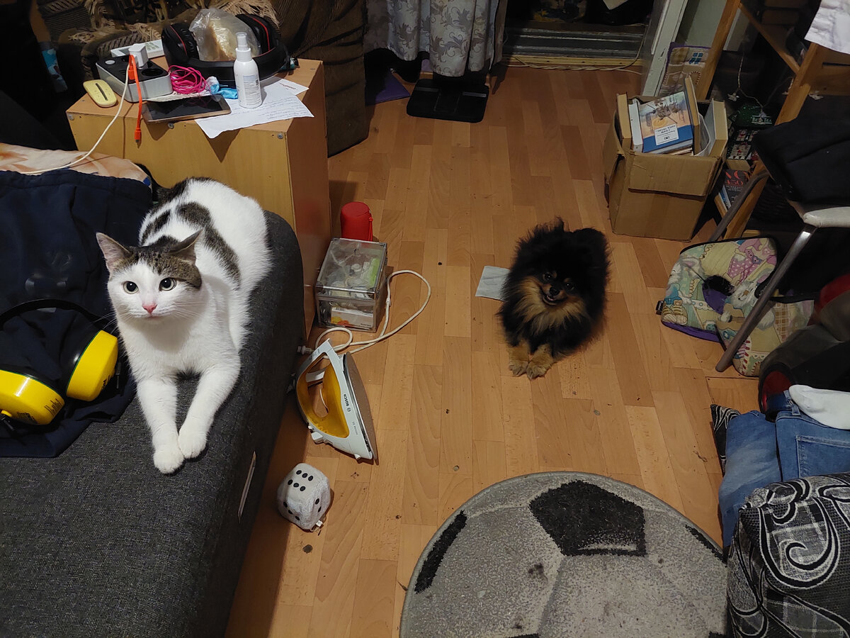 Тот, что справа