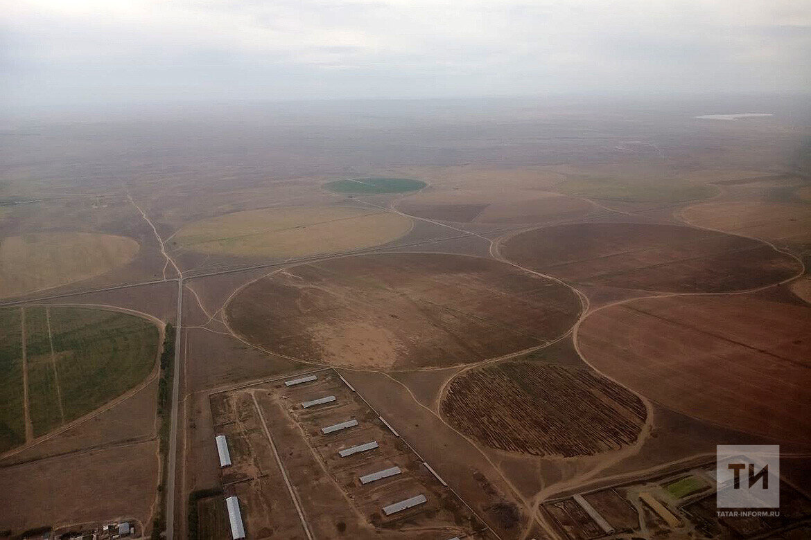 Огромные пашни в виде окружностей можно наблюдать из самолетаФото: © Арслан Минвалеев / «Татар-информ»