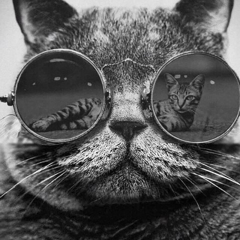 Из открытых источников Яндекс