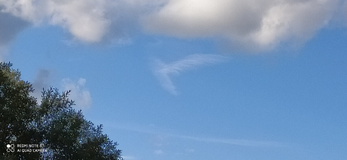 Призрачный ангел