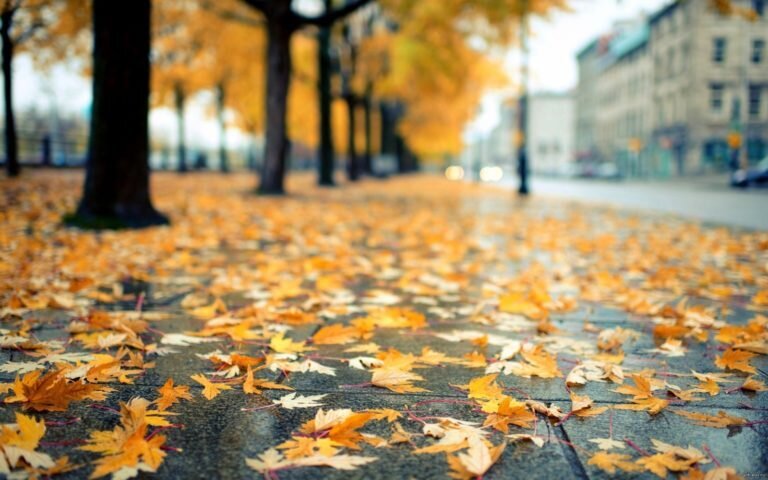    В Оренбуржье последний день сентября будет дождливым, снежным и ветреным Андрей Севостьянов