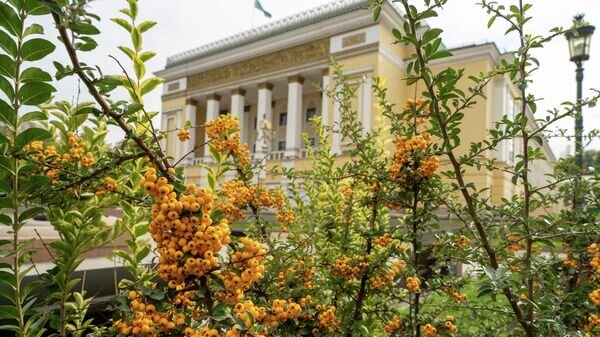   © Sputnik / Тимур Батыршин