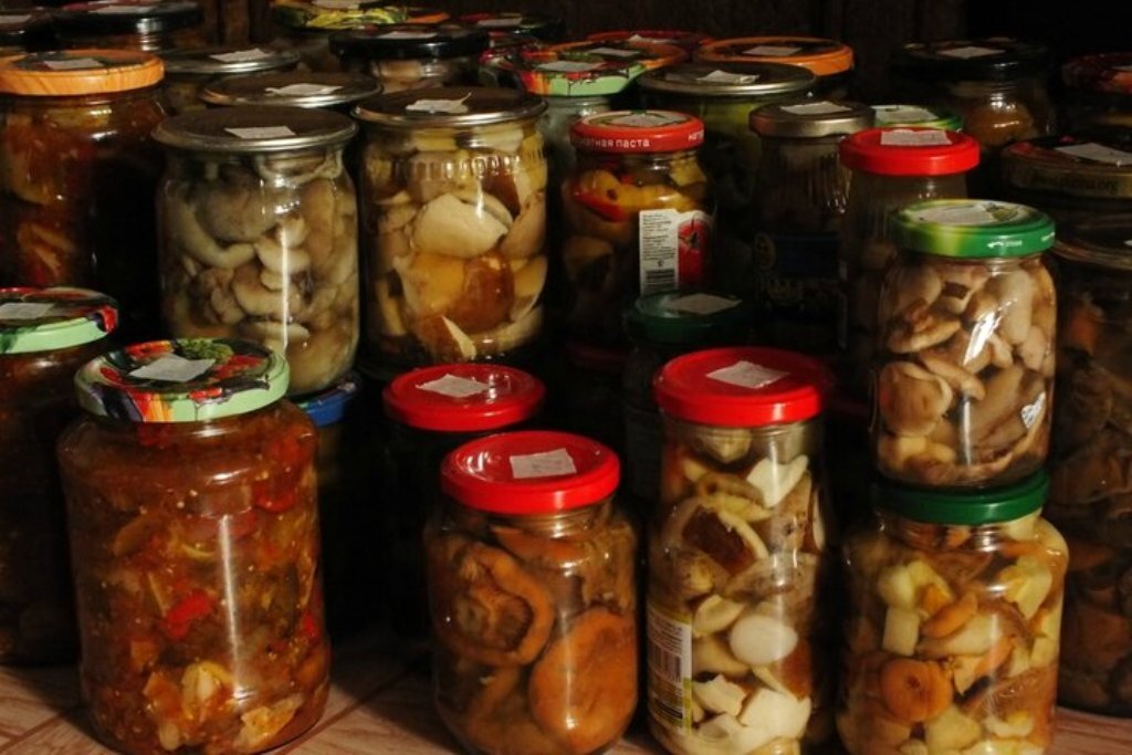 Автор фото Ирина Черпакова