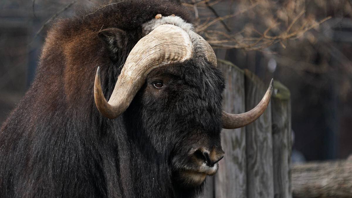    Фото: РИА Новости / Александр Вильф