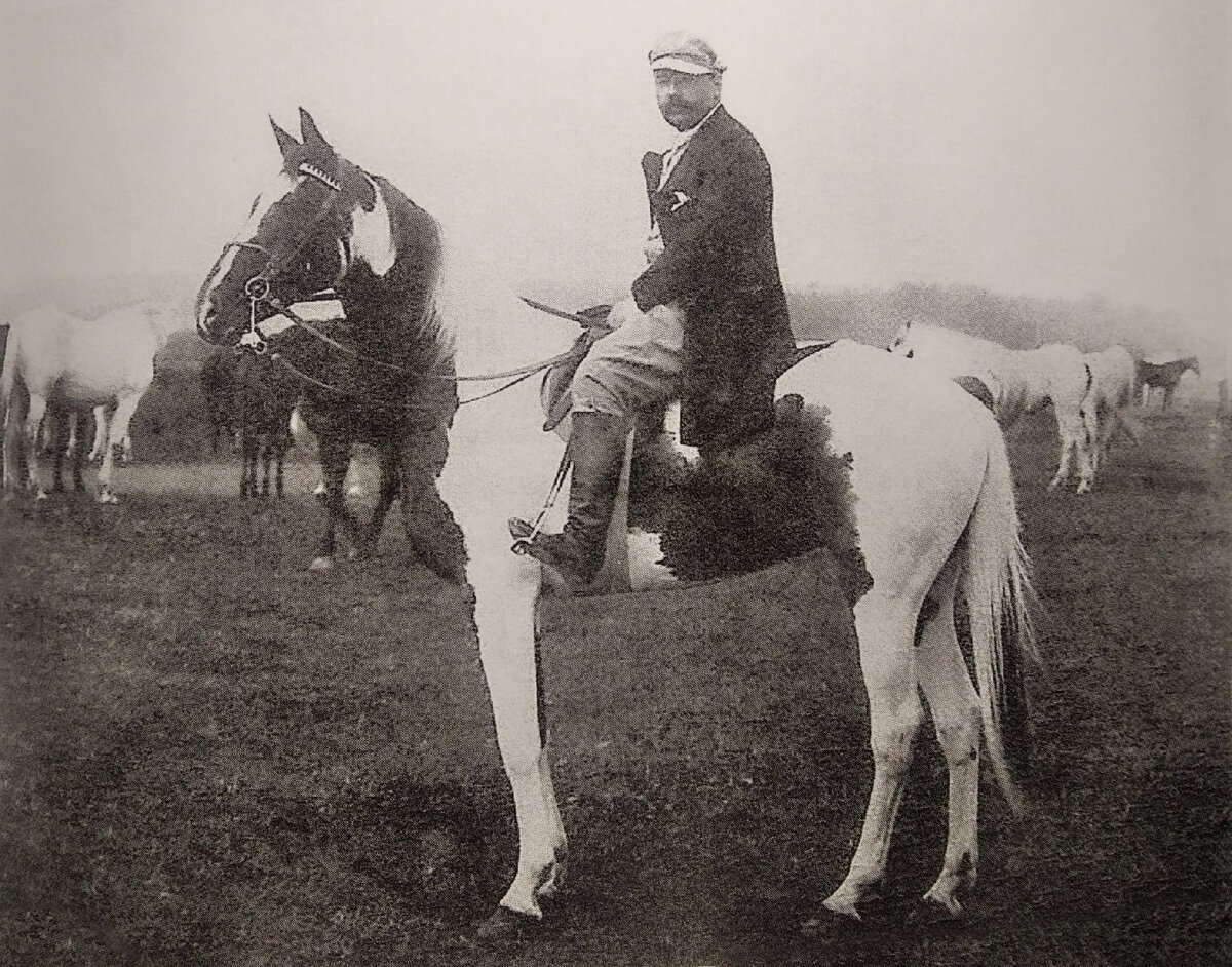 Кони книга. All the pretty horses. Бутович лошади моего. Лошади моего сердца. Бутович национальность.