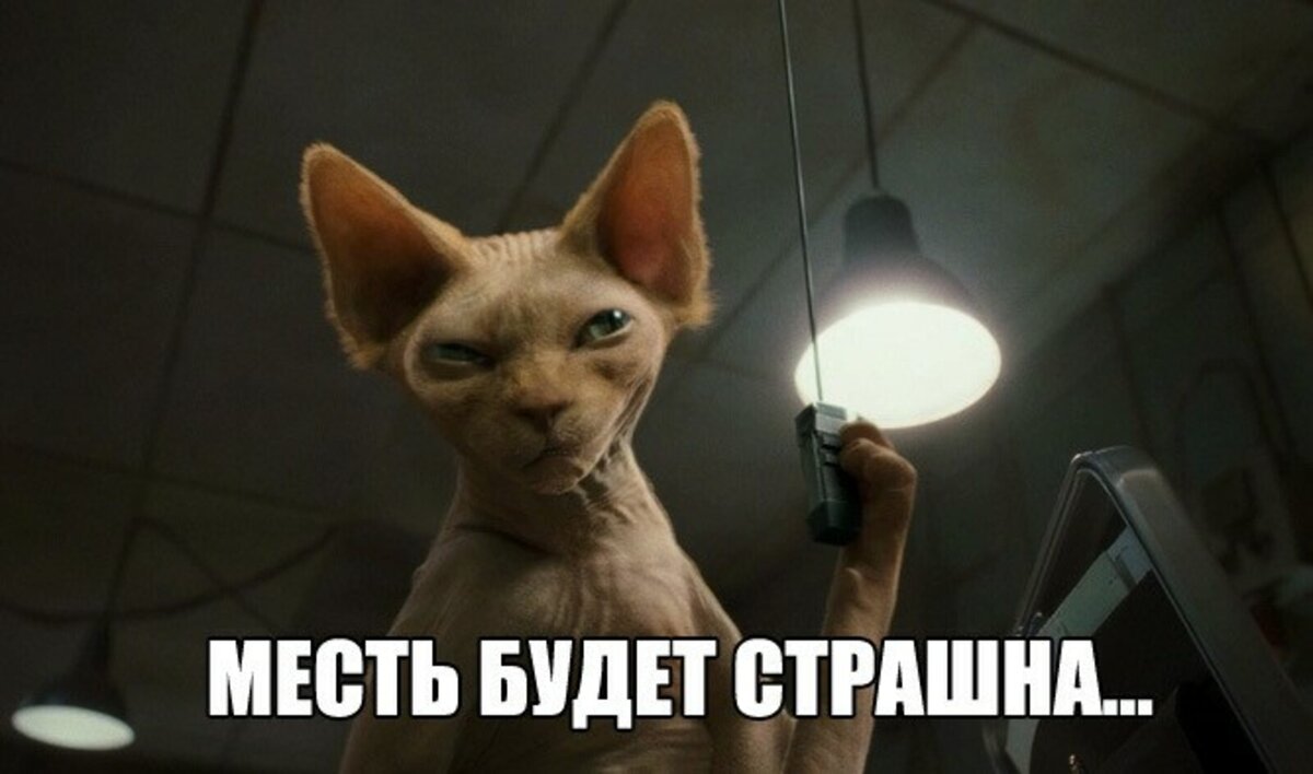 Источник blvesti.ru