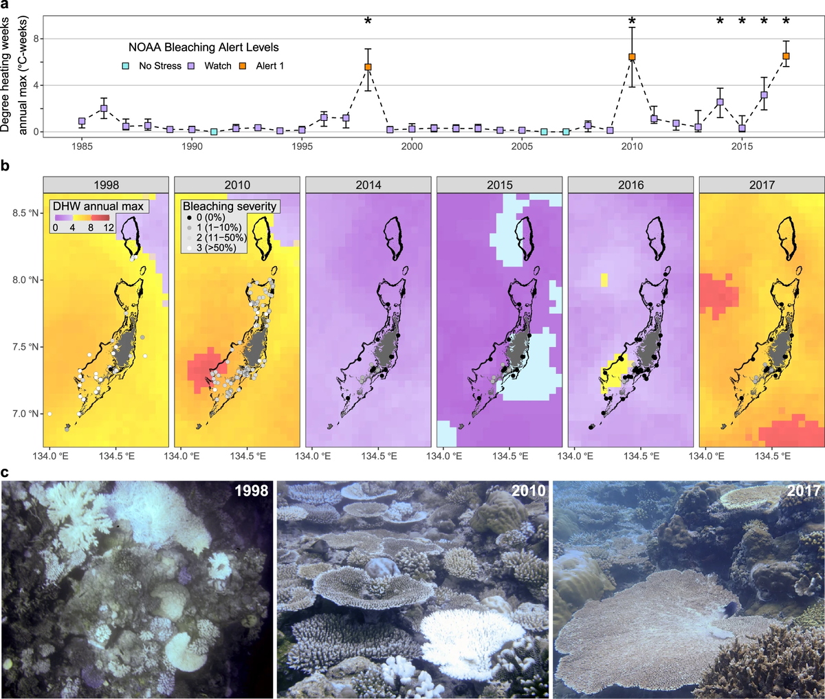   Liam Lachs et al. / Nature Communications, 2023