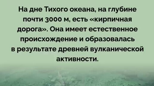 Естественное порно: 30 видео по теме