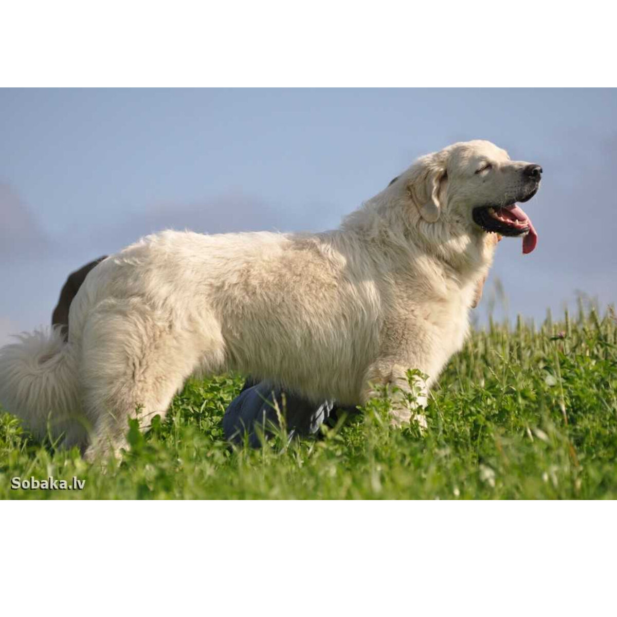 Фото из открытых источников