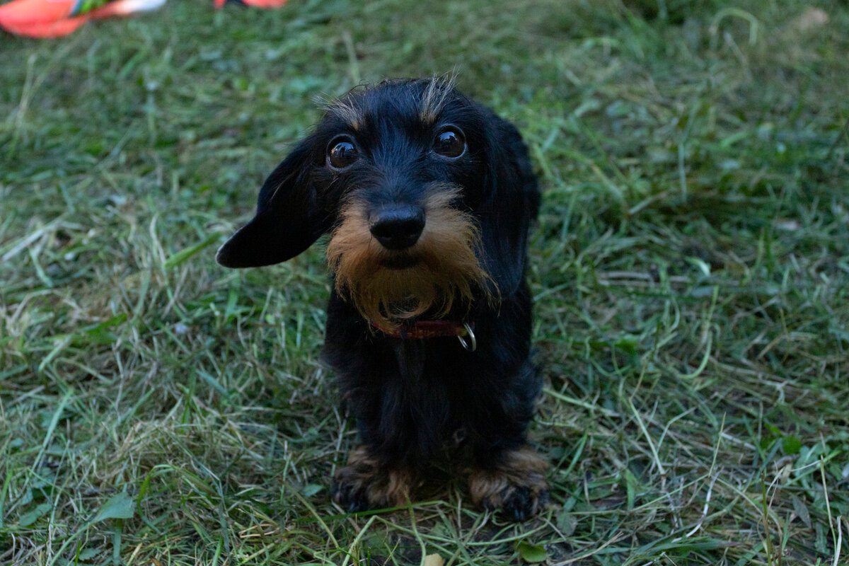 Малышка, которая украла мое сердце