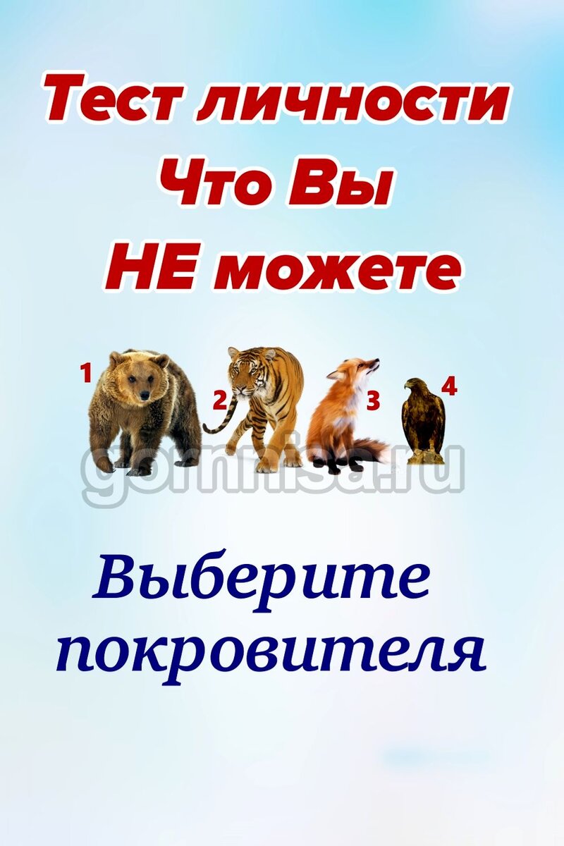    Тест личности — Что вы не можете Pavlov A