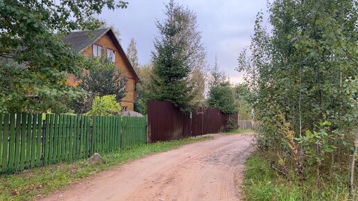 Хорошо в селигерской деревне- лес и грибы всегда рядом