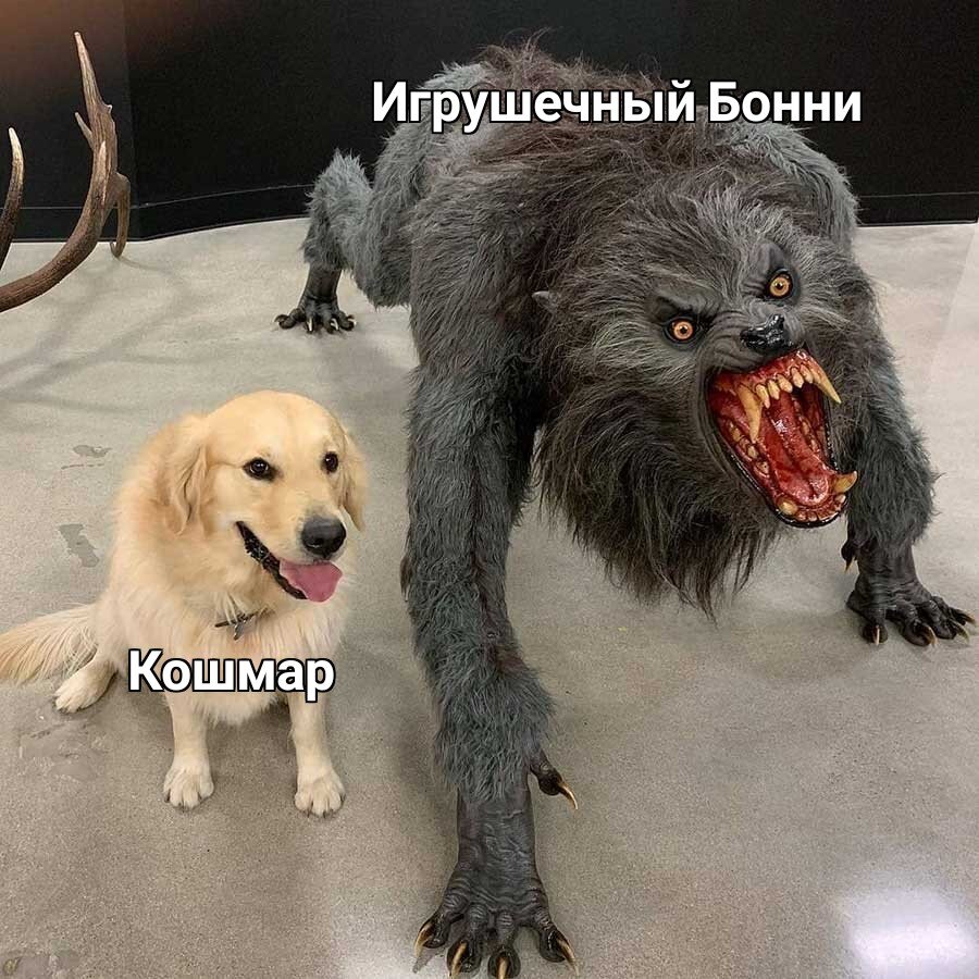 Не удивляйтесь! 