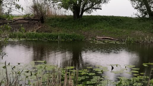 Коптильня горячего копчения с гидрозатвором  / Что стало с коптильней после зимы