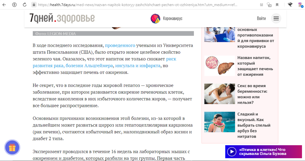 10 способов защитить текст своего сайта от копирования — Devaka SEO Блог