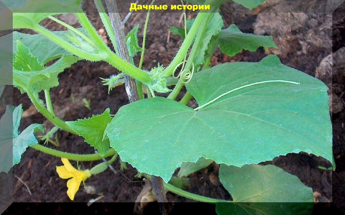 https://vk.com/photo-159774511_457247908