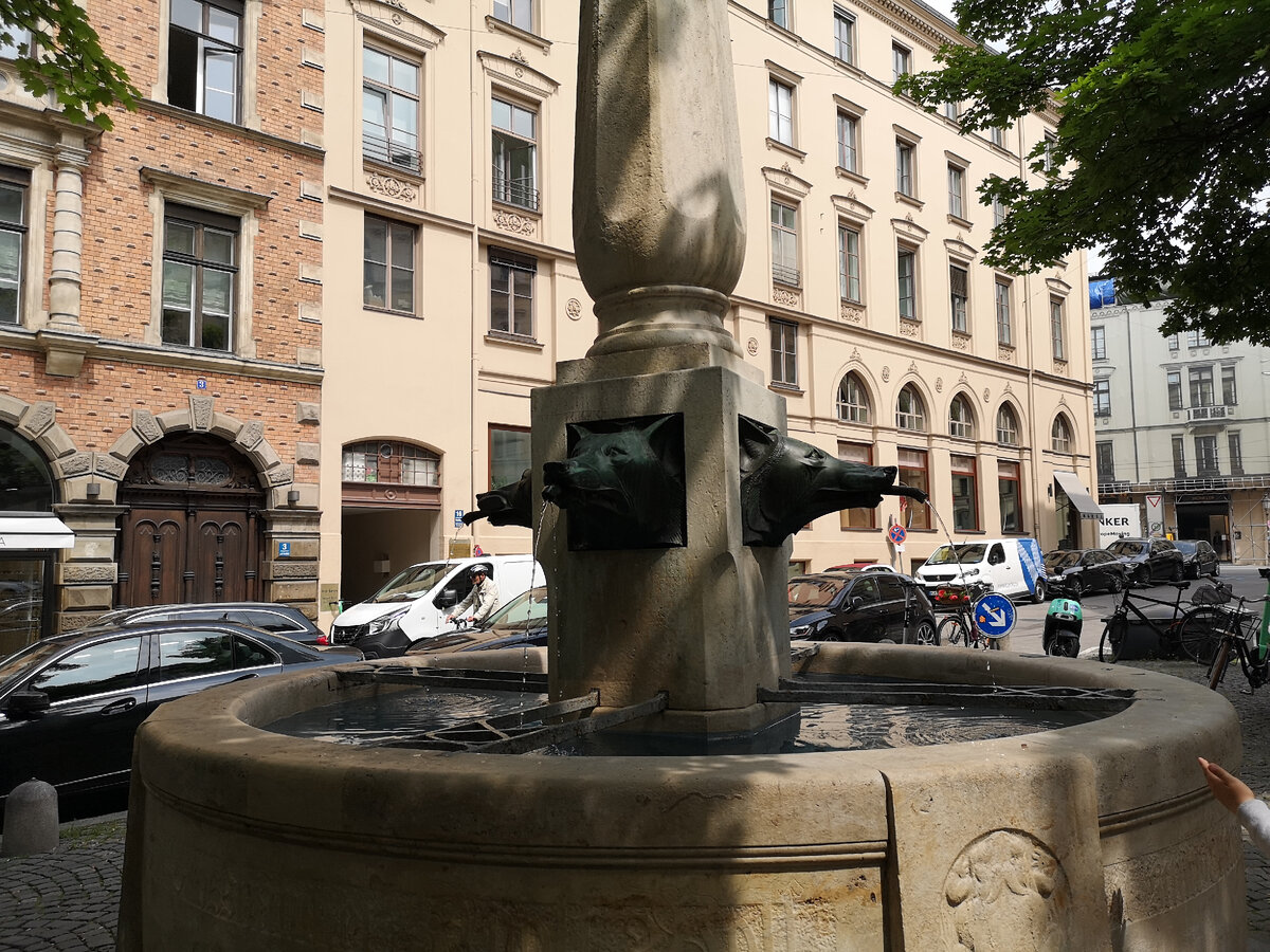 Фото автора