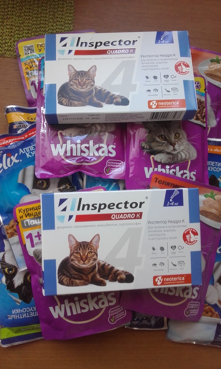 Фото в галерее сделаны автором. Гостинцы для Светиных подопечных