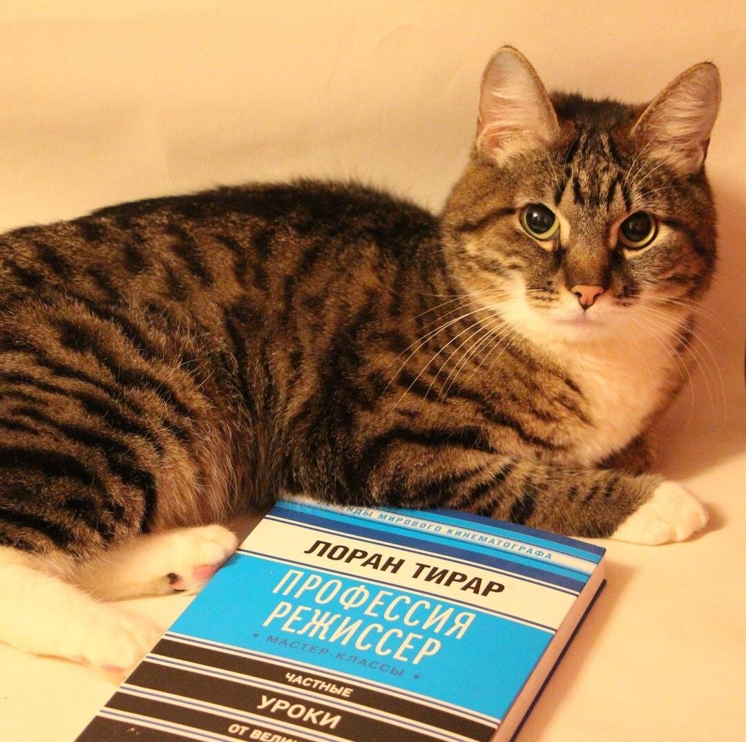 «Профессия режиссер. Мастер-классы» Лорана Тирара; фото - мое 