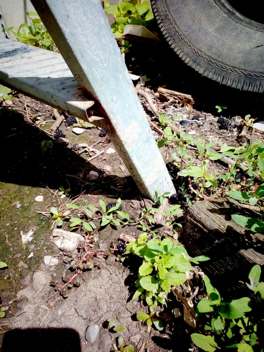 Фото автора, ножка лестницы