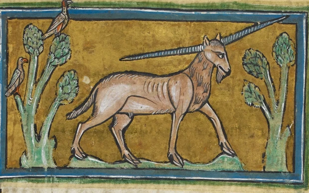 Йель – Гибкий боец. (Pinterest.com)