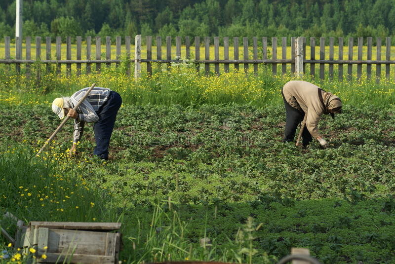 Поза огородника картинки