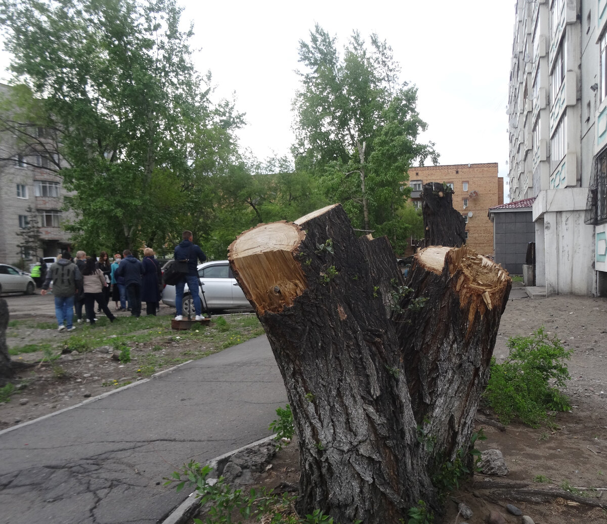 Очаровательный вход во дворик дома по ул. Чульдума, 44. По крайней мере с точки зрения дровосеков