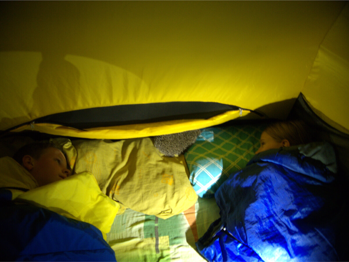 Ночное общение с ежом. Шебуршащие соседи.