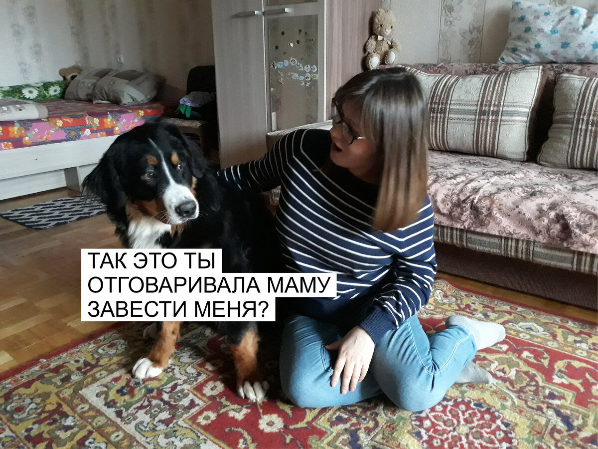 В гостях у подруги. Кажется, ее пёс что-то подозревает...