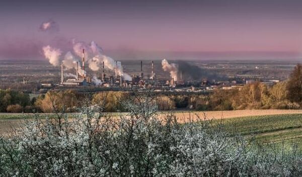 Источник фото: Pixabay