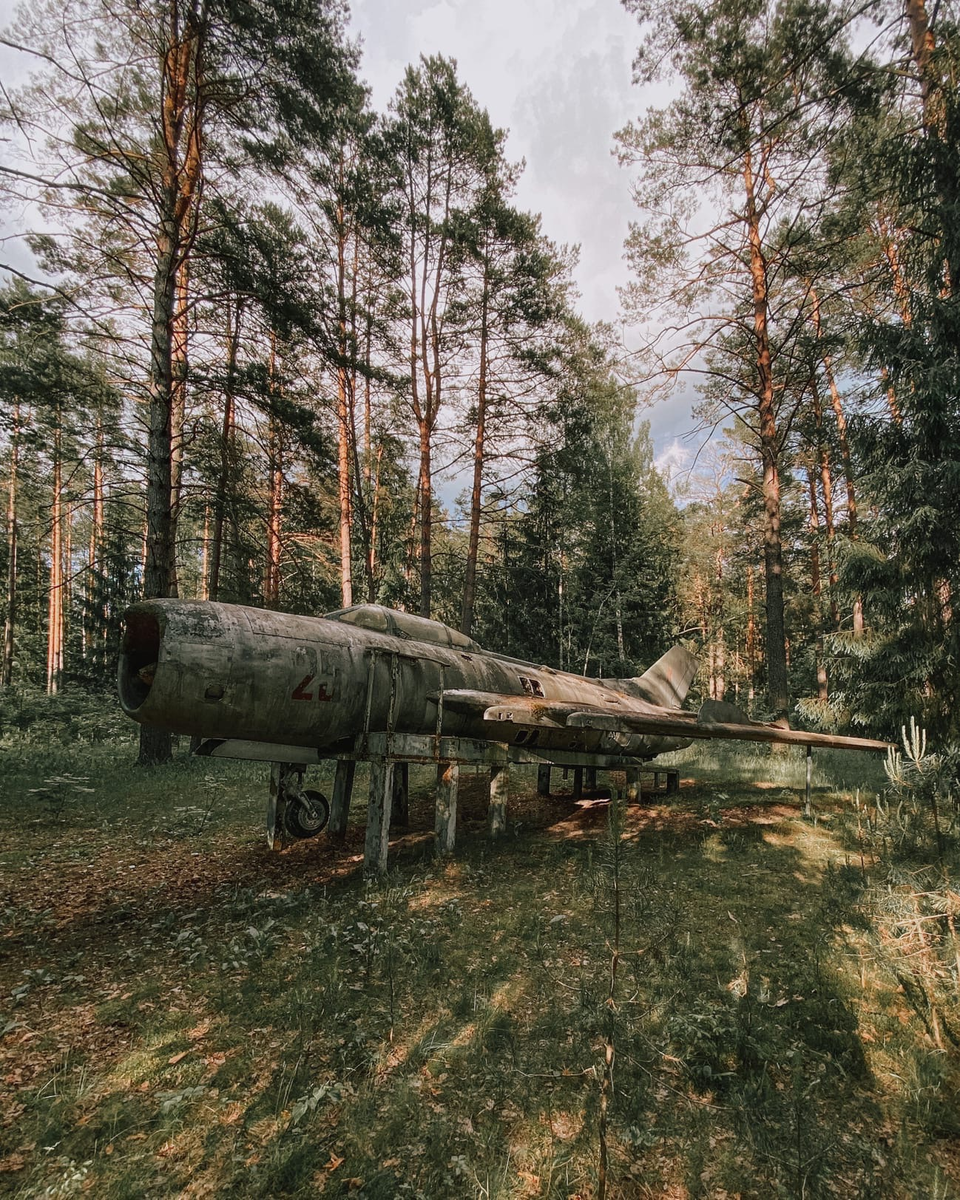 Фото автора. Та самая наша находка.