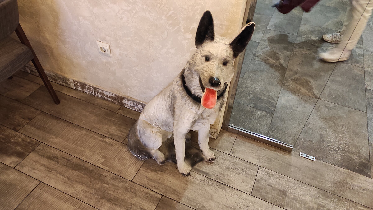 Смешная собака на входе. Не настоящая! Фото автора