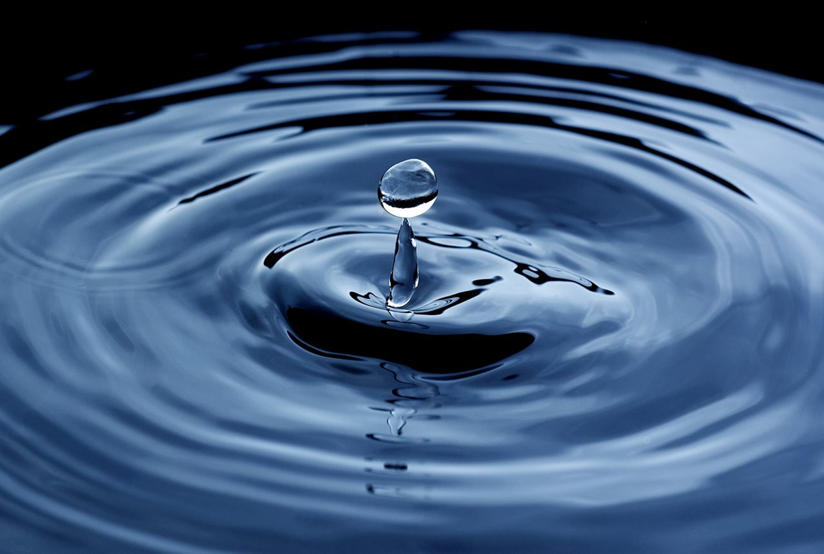 © corporate.baltika.ru