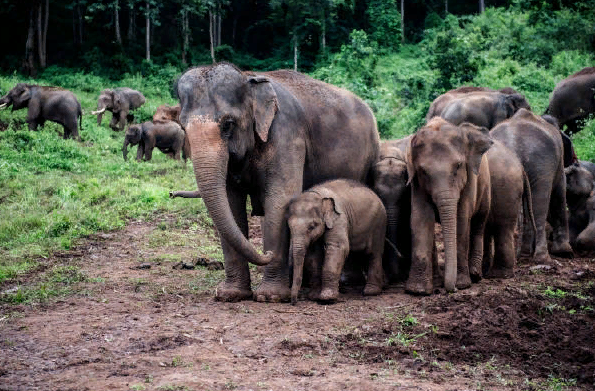 Не смогла остаться равнодушной к этой истории и, хочу поделиться ей с вами.-2